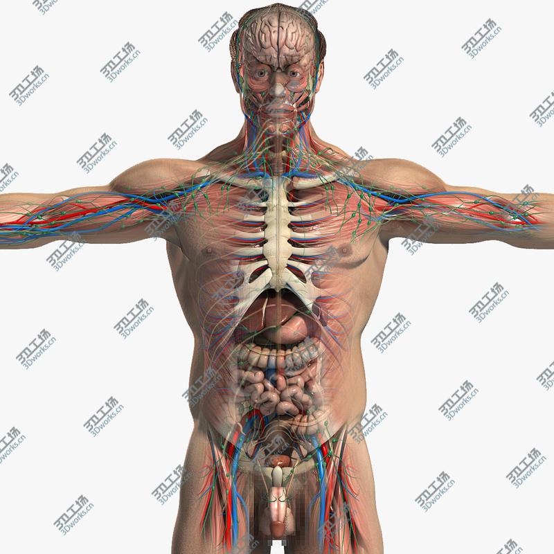 images/goods_img/20210113/Male Anatomy Pack Complete (Textured)/1.jpg